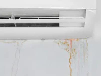 What to Do About Mildew in Your AC